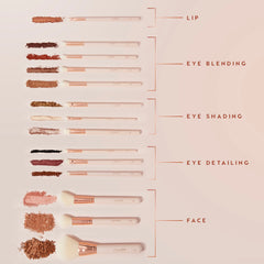 ColourPop Shadow Palette & Brush Set Doin’ the Most brushes arranged in flat lay, each applying pigment swatches; labeled rows for lip, eye blending, eye shading, eye detailing, and face on a soft pink background with cream handles and rose-gold ferrules.