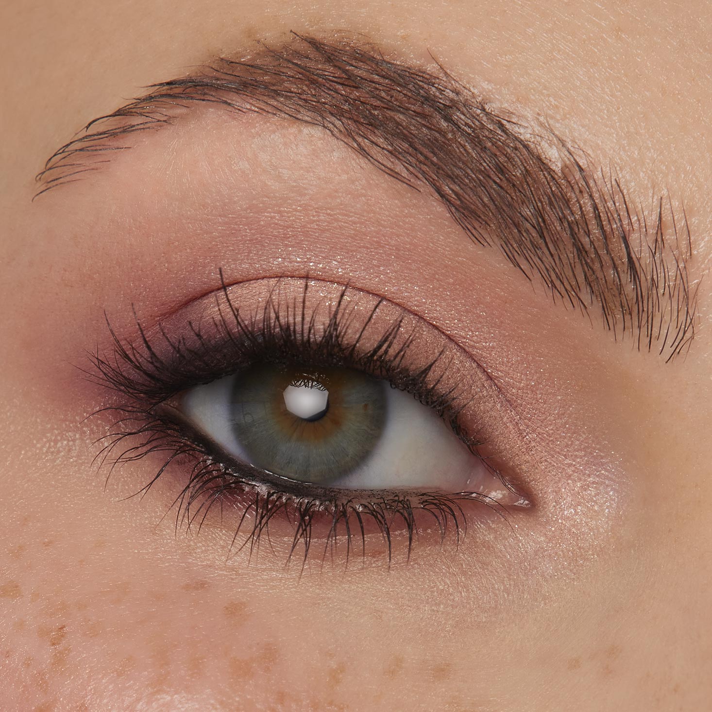 Shop Coconut BB | Value Shadow Palette Sets by ColourPop®