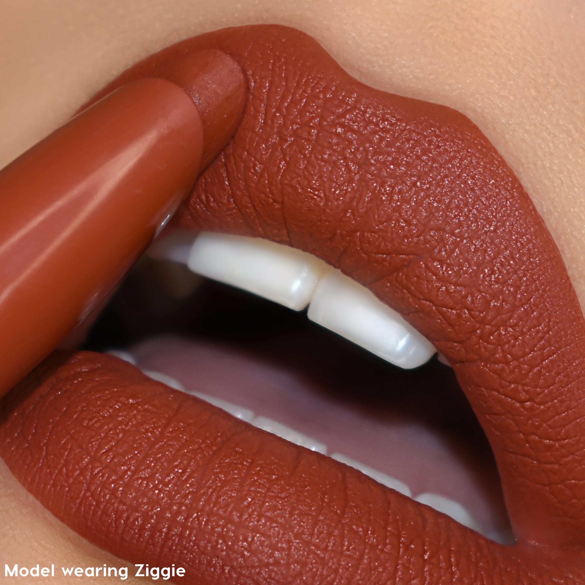 リップス Ziggie Dark Terracotta Shade Lippie Stix · ColourPop