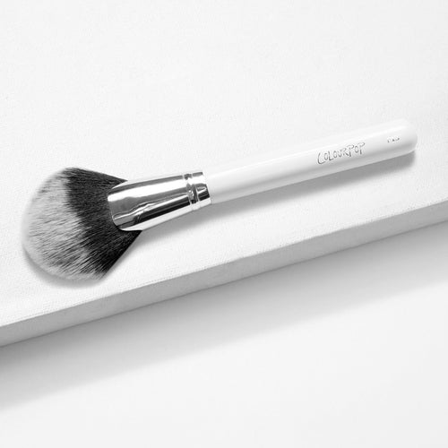 f13 Full Fan Face Brush