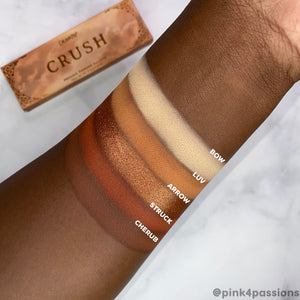 ColourPop Crush rich copper 5-pan shadow palette arm swatches